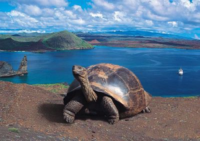 Las Islas Galápagos