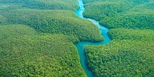 La Selva Amazónica, el pulmón del mundo
